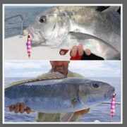 Laser Eye Slow Pitch Jig - Image 3