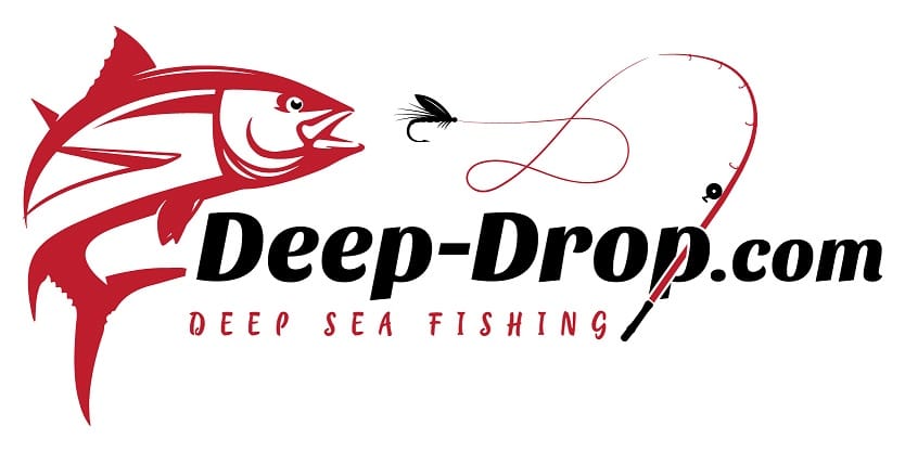 Slow Pitch Jigging Guide - Florida Deep Drop Fishing