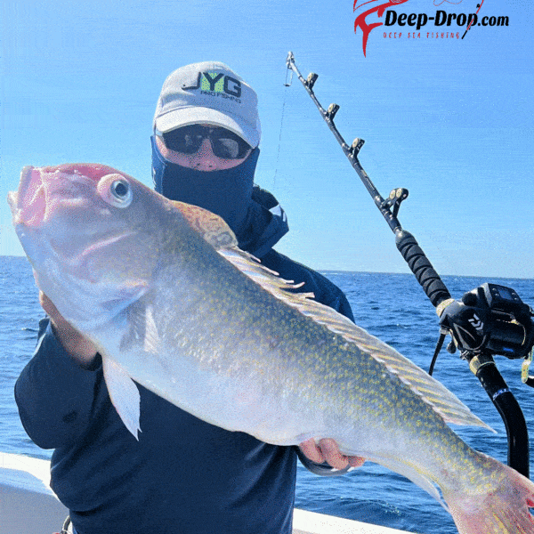 Bas De Ligne Pêche Profonde Avec Manchon Lumineux Neuf