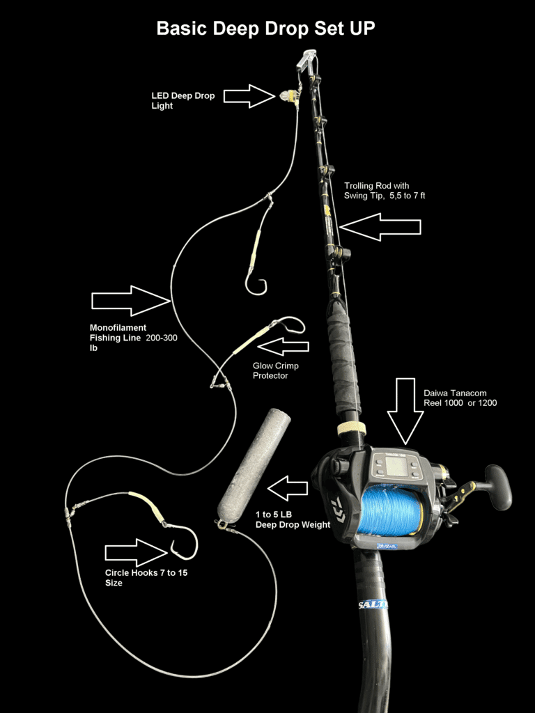 Deep Drop Rod, reel, and  deep drop rig setup  with all elements
