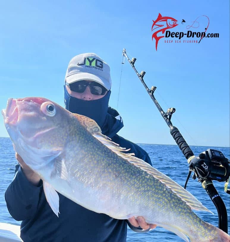 bes lure to use with planer boards salmon fishing 12 Great Fishing Lures for Chinook Salmon Fishing in Saltwater