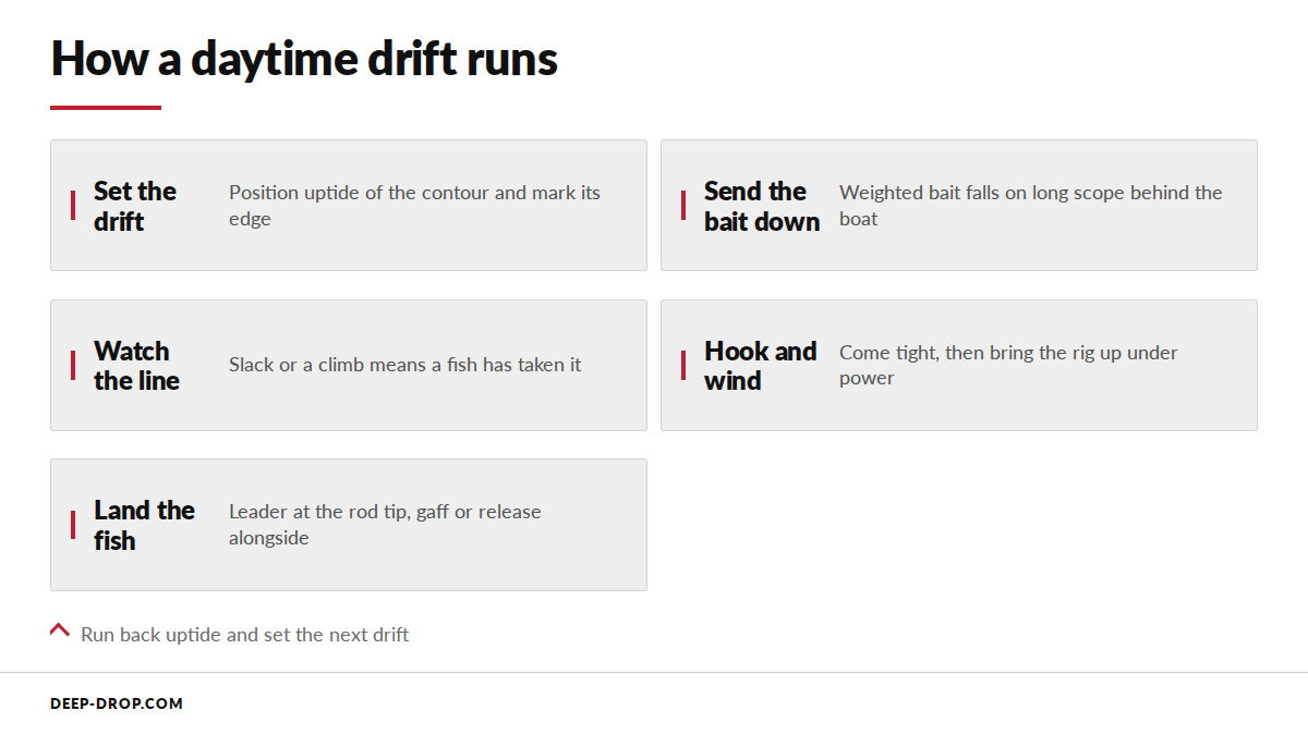 A diagram of the daytime swordfishing drift loop, from setting the drift to landing the fish and resetting