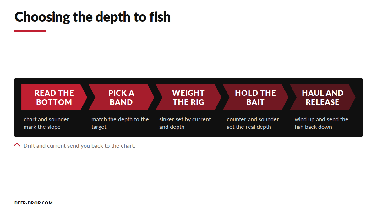 Diagram of how a depth is chosen for a deep drop, from chart and sounder to hauling
