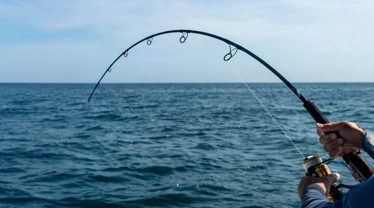Blackfin Fin Legacy Tuna Stand-Up Rod