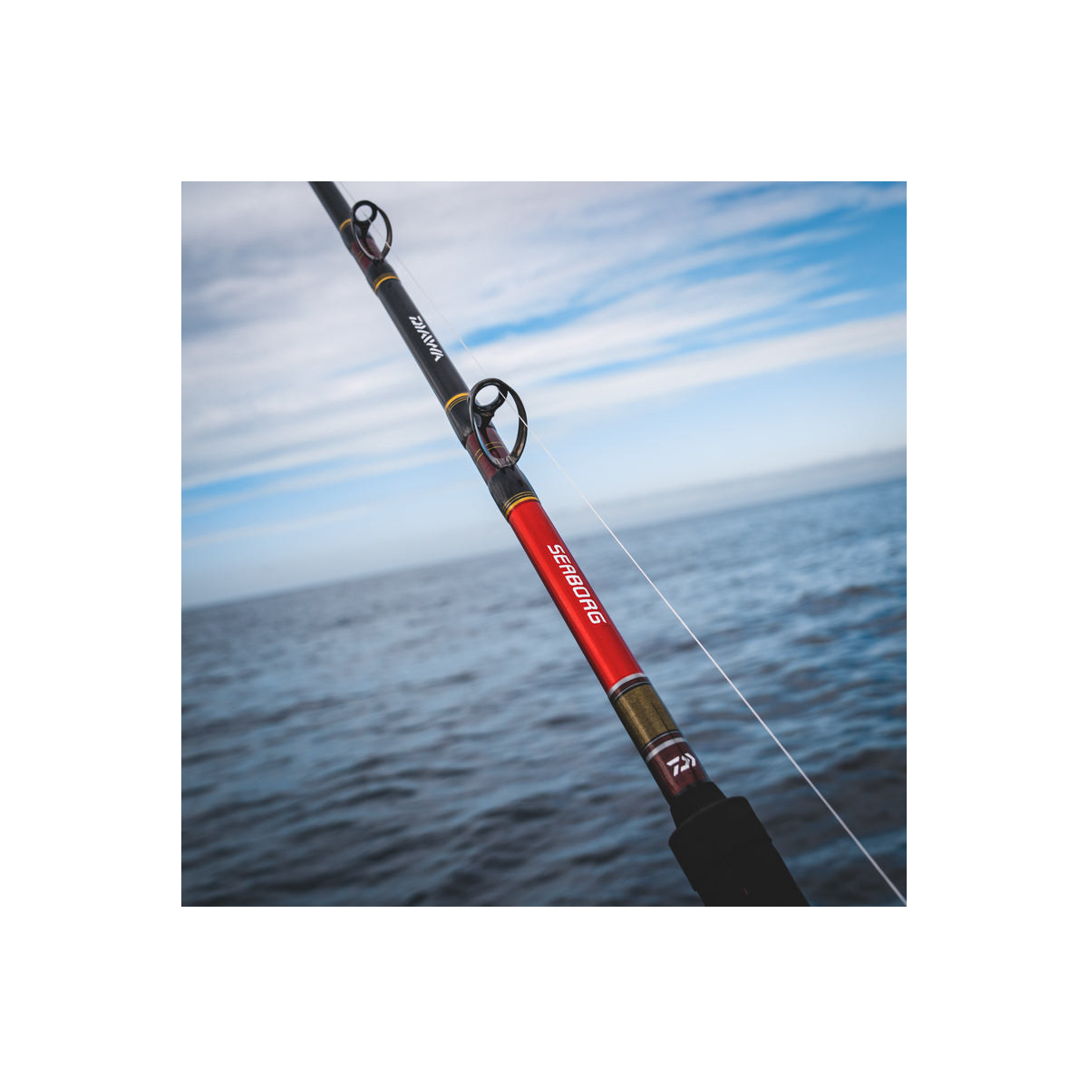 Daiwa Seaborg Dendoh — blank detail